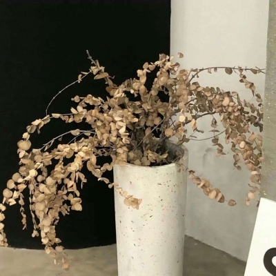 兽设花海场景设计Furry群